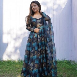 Gorgeous tabby silk organza gown